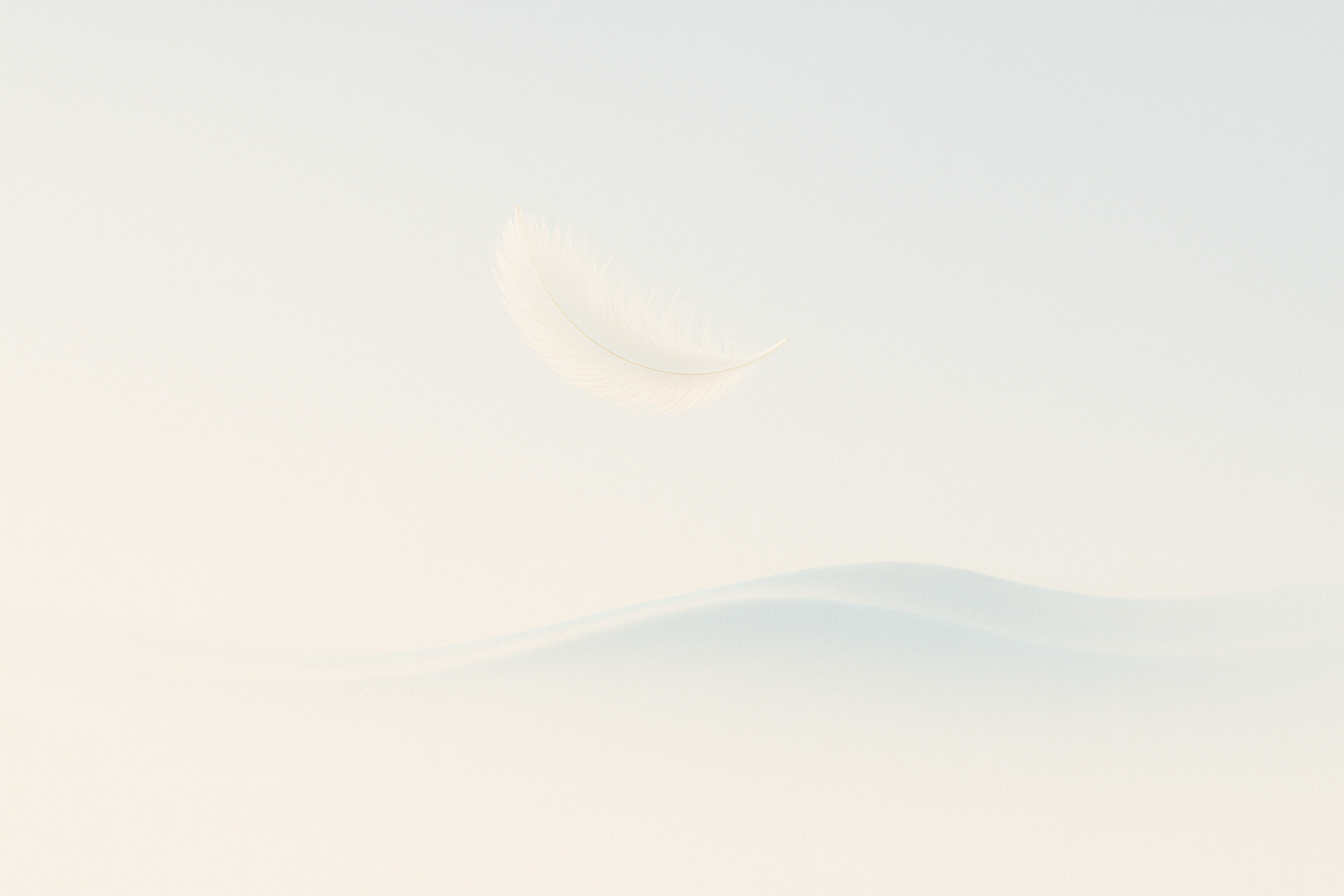 anxiety killer collection.